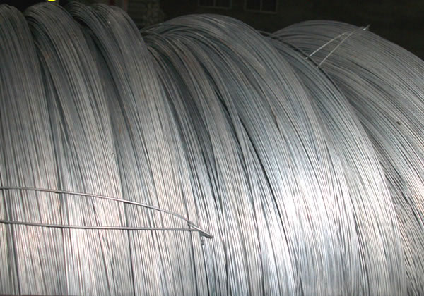 Galvanized Steel Wire